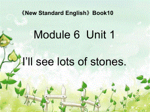 外研版一起五下Module 6 Unit 1We’ll see lots of very big stones課件5