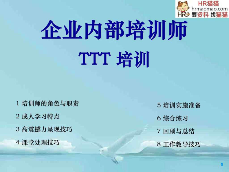 专业全面的内部培训师TTT培训HR猫猫.ppt_第1页