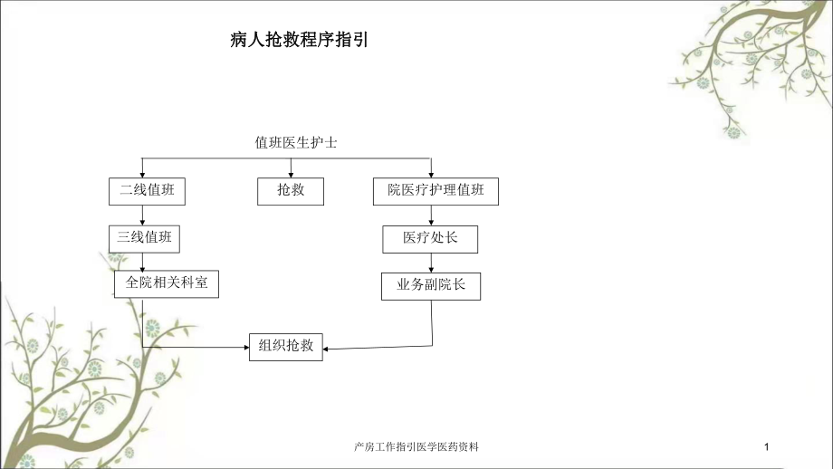 产房工作指引医学医药资料课件_第1页