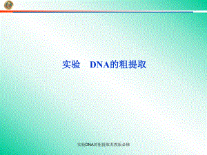 实验DNA的粗提取苏教版必修课件