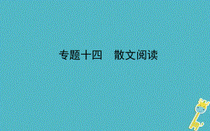 山東省德州市2018年中考語文 專題復(fù)習(xí)十四 散文閱讀課件