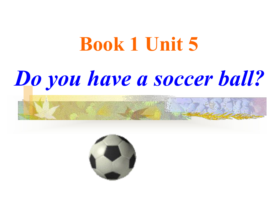 七年級英語上冊Unit5 Do you have a soccer ball？_第1頁