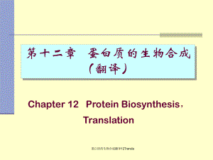 蛋白质的生物合成翻译12Transla课件