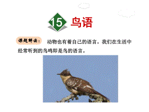 四年级下册语文课件15.鸟语苏教版