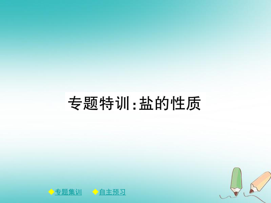 九年級化學下冊 第十一章 鹽 化肥 專題特訓 鹽的性質(zhì)課件 （新）新人教_第1頁