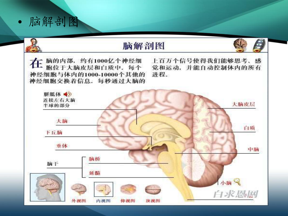 桥小脑肿瘤疾病的护理_第1页