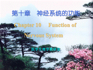 生理学课件10神经系统的功能