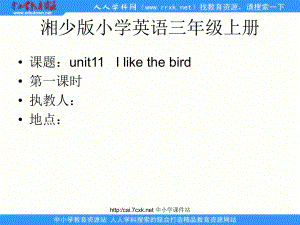 湘少版英語三年級上冊Unit 11I like the bird課件1