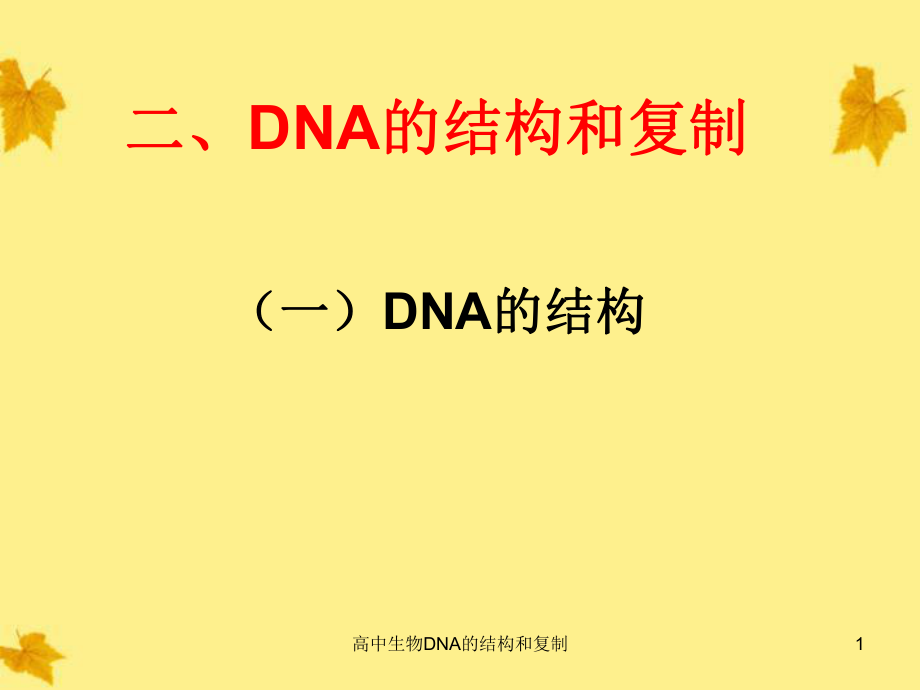 高中生物DNA的结构和复制课件_第1页