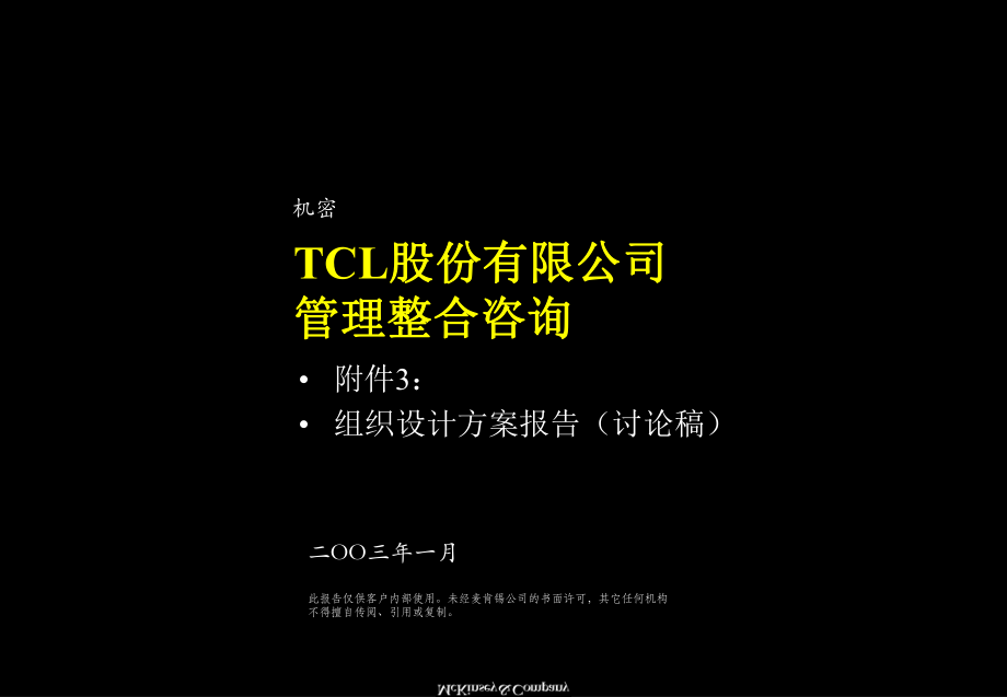 TCL股份有限公司管理组合整合咨询_第1页