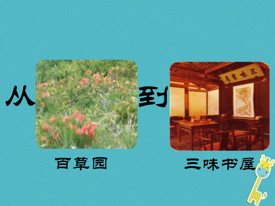 湖南省迎豐鎮(zhèn)七年級語文上冊 第三單元 9從百草園到三味書屋課件 新人教_第1頁