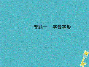 河北省年中考語文總復(fù)習(xí) 專題一 字音字形課件