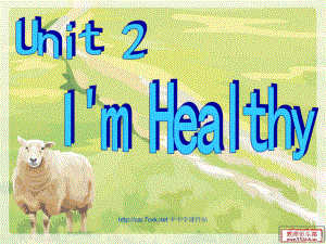 陕旅版小学英语六年级上册Unit 2I’m healthy课件1