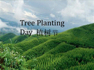 TreePlantingDay植树节