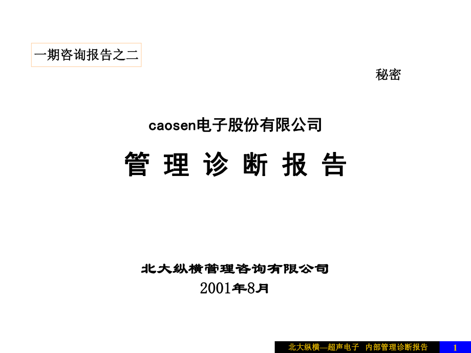 某咨询caosen电子股份有限公司内部管理诊断报_第1页