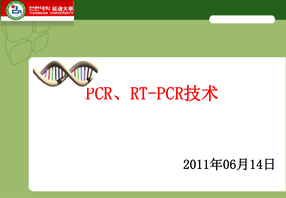 PCR、RT-PCR技术_第1页