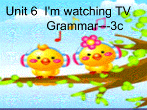 （水滴系列）七年級英語下冊 Unit 6 I’m watching TV（第3課時）Section A（Grammar Foucs-3c）課件 （新）人教新目標