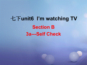 （水滴系列）七年級英語下冊 Unit 6 I’m watching TV（第6課時(shí)）Section B（3a-self check）課件 （新）人教新目標(biāo)