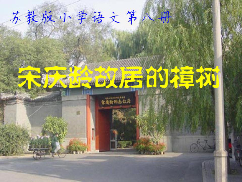 苏教版小学语文第八册宋庆龄故居的樟树第二课时PPT_第1页