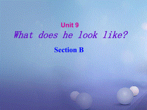 （水滴系列）七年級英語下冊 Unit 9 What does he look like（第4課時）Section B（1a-1e）課件 （新）人教新目標