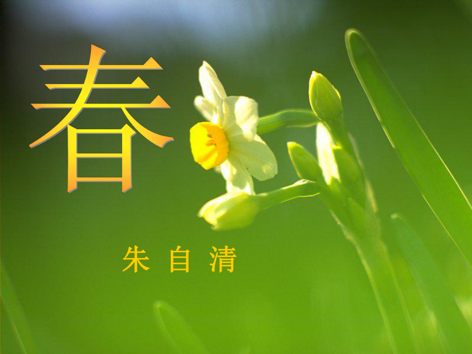 六年級(jí)語(yǔ)文上冊(cè) 第13課 春課件2 魯教_第1頁(yè)