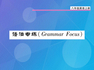 八年級(jí)英語上冊(cè) Unit 5 Do you want to watch a game show語法專練課件 （新）人教新目標(biāo)