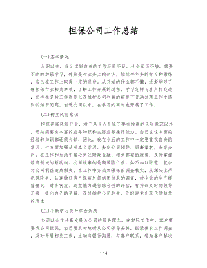 擔(dān)保公司工作總結(jié).doc