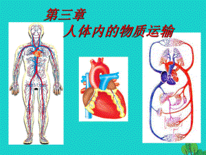 山東省鄒平縣實(shí)驗(yàn)中學(xué)七年級(jí)生物下冊(cè) 第三章 人體內(nèi)的物質(zhì)運(yùn)輸課件 （新）濟(jì)南