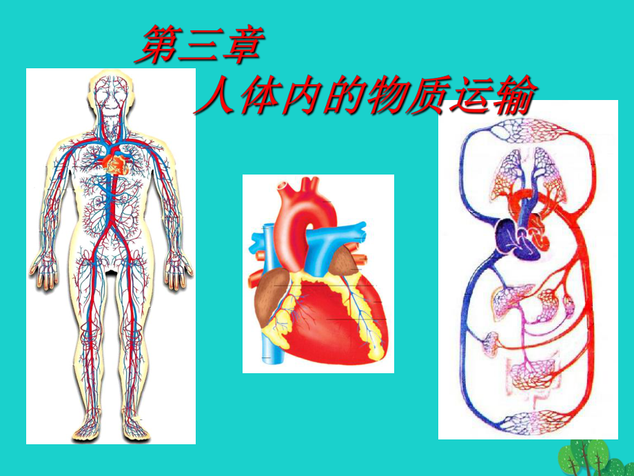 山東省鄒平縣實驗中學七年級生物下冊 第三章 人體內(nèi)的物質(zhì)運輸課件 （新）濟南_第1頁