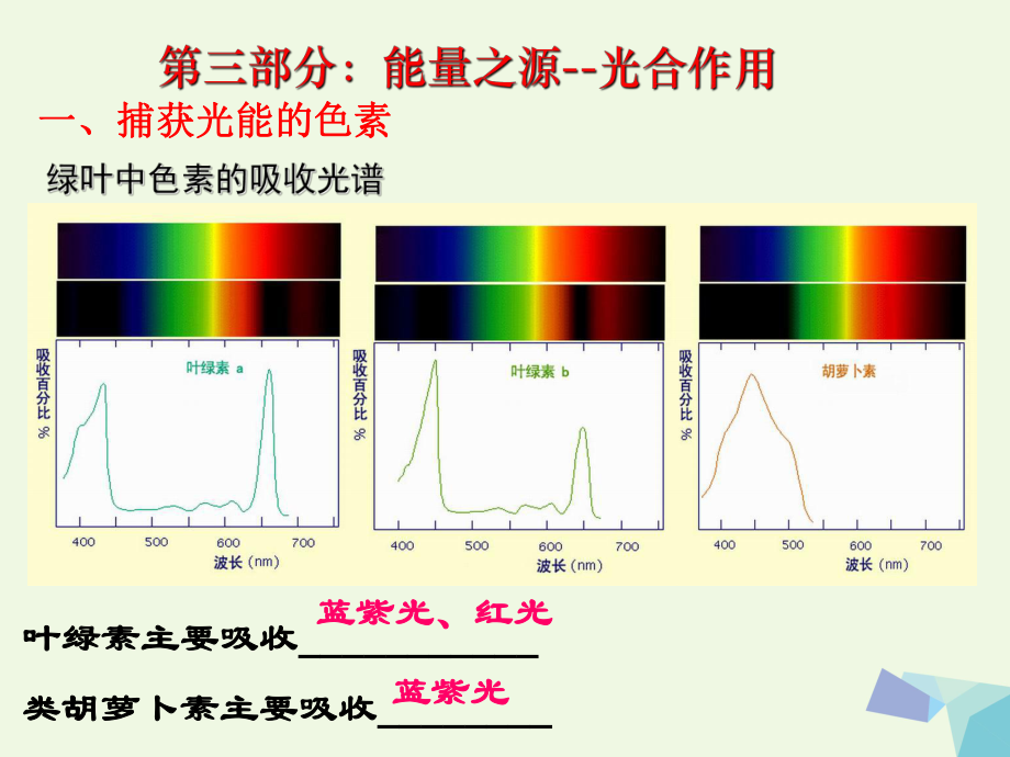 陜西省西安市高考生物 細(xì)胞代謝專題 第三部分 能量之源--光合作用復(fù)習(xí)課件_第1頁(yè)