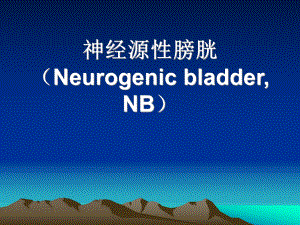 神经源性膀胱Neurogenic