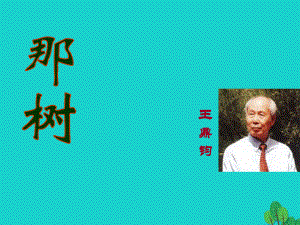 安徽省合肥市育英學(xué)校九年級(jí)語(yǔ)文下冊(cè) 第三單元 第10課《那樹(shù)》課件 新人教