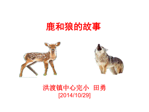 14、鹿和狼的故事_六年级语文上课件－－田勇