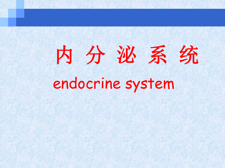 《内分泌系统理论》PPT课件_第1页