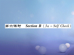 八年級英語上冊 Unit 5 Do you want to watch a game show（第6課時）Section B（3a-Self Chsck）同步作業(yè)課件 （新）人教新目標