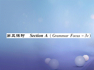 八年級英語上冊 Unit 6 I'm going to study computer science（第3課時）Section A（Grammar Focus-3c）同步作業(yè)課件 （新）人教新目標(biāo)