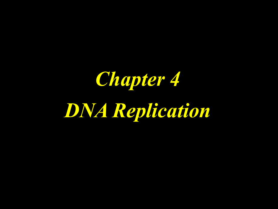 4DNAreplication_第1页