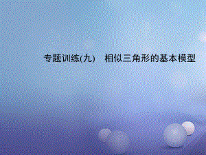 九年級數(shù)學上冊 專題訓練9 相似三角形的基本原理課件 （新）新人教