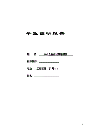 中小企業(yè)成長戰(zhàn)略研究畢業(yè)論文.doc