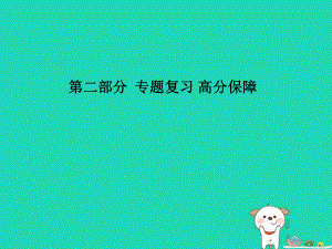 （青島專）中考物理 第二部分 專題復習 高分保障 專題九 問題解決課件