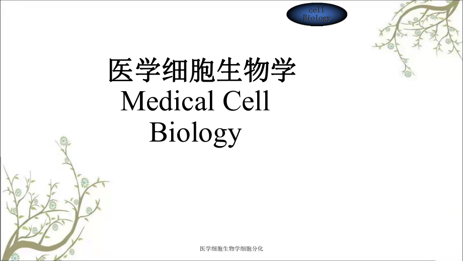 医学细胞生物学细胞分化课件_第1页