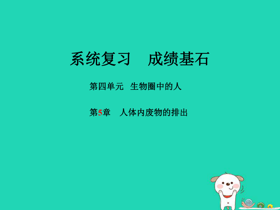 （聊城專）中考生物 第一部分 系統(tǒng)復(fù)習(xí) 成績(jī)基石 第4單元 第5章 人體內(nèi)廢物的排出課件_第1頁(yè)