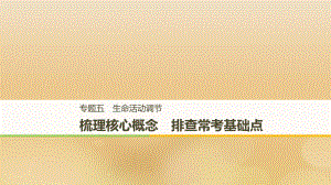 （全國通用）高考生物二輪復習 專題五 生命活動調(diào)節(jié) 梳理核心概念 排查常考基礎點課件