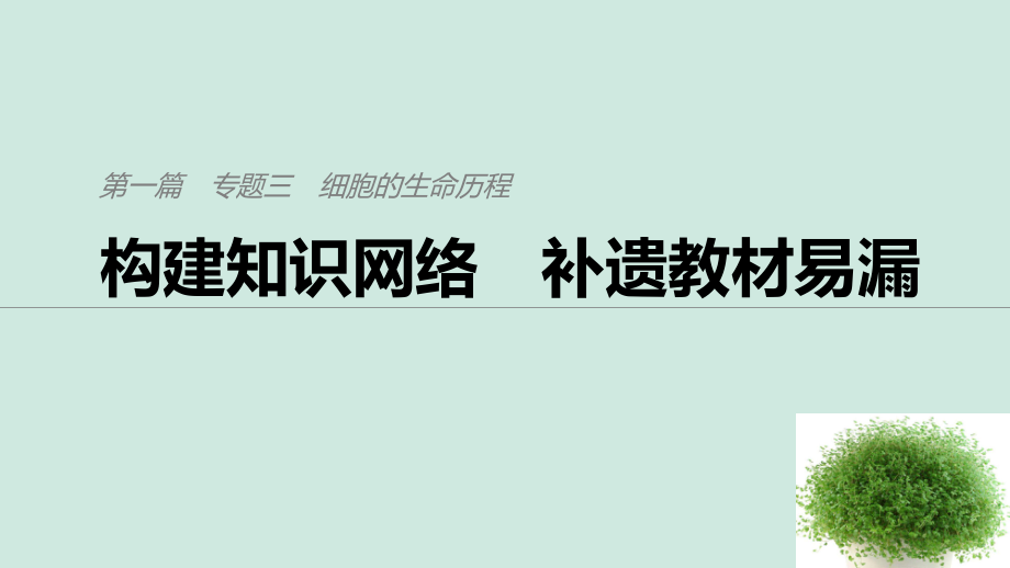 （通用）高考生物二輪復(fù)習(xí) 專題三 細(xì)胞的生命歷程 構(gòu)建知識(shí)網(wǎng)絡(luò) 補(bǔ)遺教材遺漏課件_第1頁(yè)