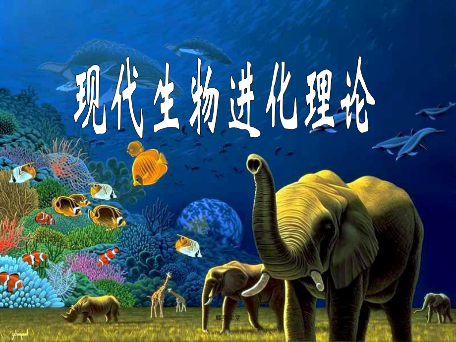 现代生物进化理论一轮复习专业课堂_第1页