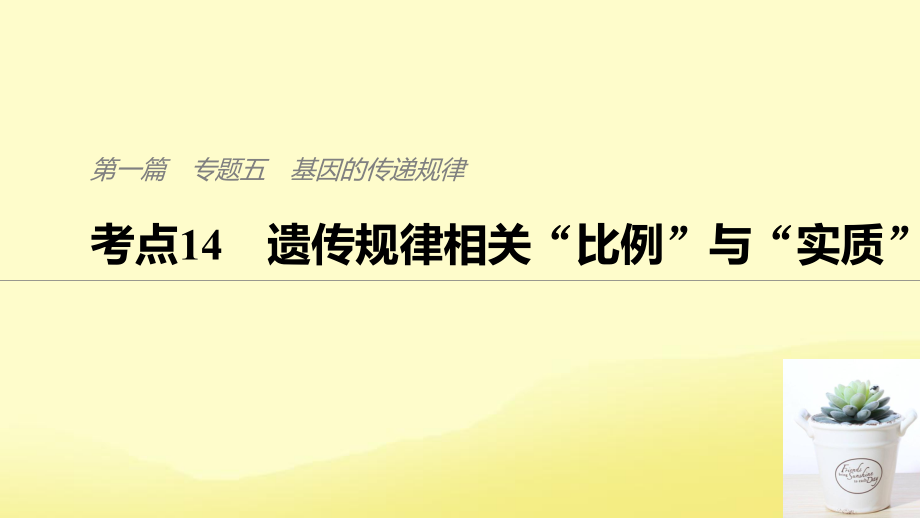 （通用）高考生物二輪復(fù)習(xí) 專題五 基因的傳遞規(guī)律 考點(diǎn)14 遺傳規(guī)律相關(guān)“比例”與“實(shí)質(zhì)”課件_第1頁(yè)