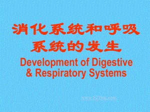 消化系统和呼吸系统的发生PPT