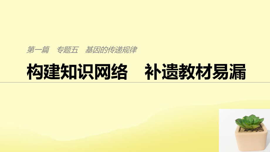 （通用）高考生物二輪復習 專題五 基因的傳遞規(guī)律 構(gòu)建知識網(wǎng)絡 補遺教材遺漏課件_第1頁