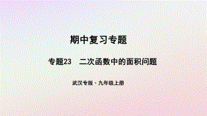 （武漢專）九年級(jí)數(shù)學(xué)上冊(cè) 期中復(fù)習(xí)專題 專題23 二次函數(shù)中的面積問(wèn)題課件 （新）新人教