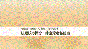 （全國(guó)通用）高考生物二輪復(fù)習(xí) 專(zhuān)題四 遺傳的分子基礎(chǔ)、變異與進(jìn)化 梳理核心概念 排查?？蓟A(chǔ)點(diǎn)課件